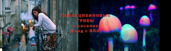 ECSTASY Сосновый Бор