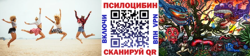 Купить где  Карасук  Галлюциногенные грибы мухоморы 